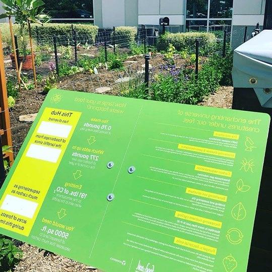 Garden as part of Corporate Sustainability at Viasat